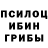Галлюциногенные грибы прущие грибы Kirti Jain