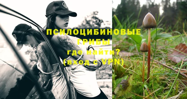 крисы Аркадак
