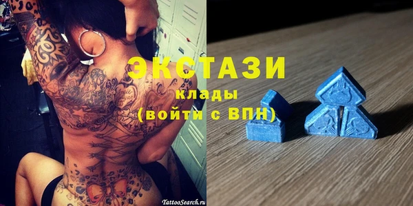 крисы Аркадак