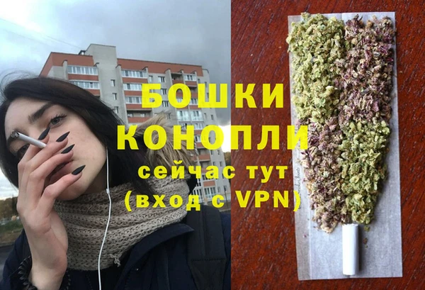 дмт Арсеньев