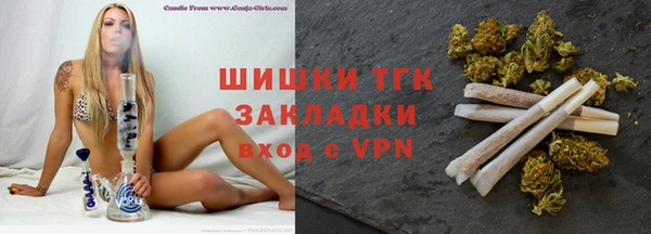 дмт Арсеньев